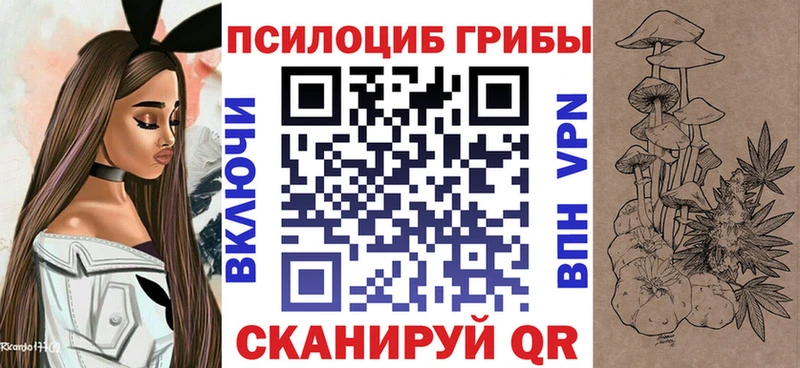 Псилоцибиновые грибы Psilocybine cubensis  закладка  Верхоянск 